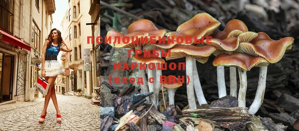 стаф Ханты-Мансийск