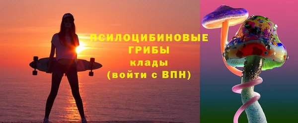 сатива Вяземский