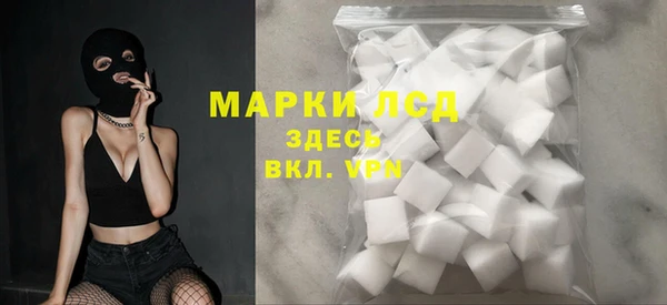 сатива Вяземский