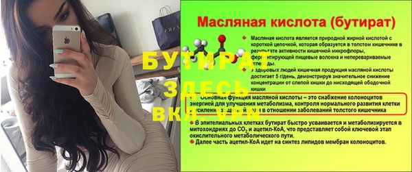 сатива Вяземский